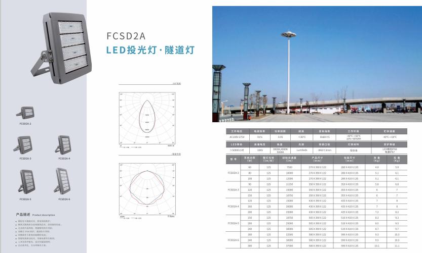 青松路街道投光灯