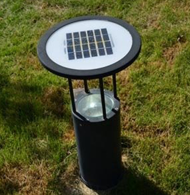 青松路街道草坪灯